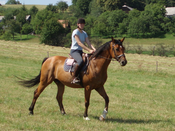 Ginn Cotkytle II.jpg